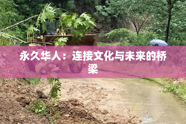 永久华人：连接文化与未来的桥梁