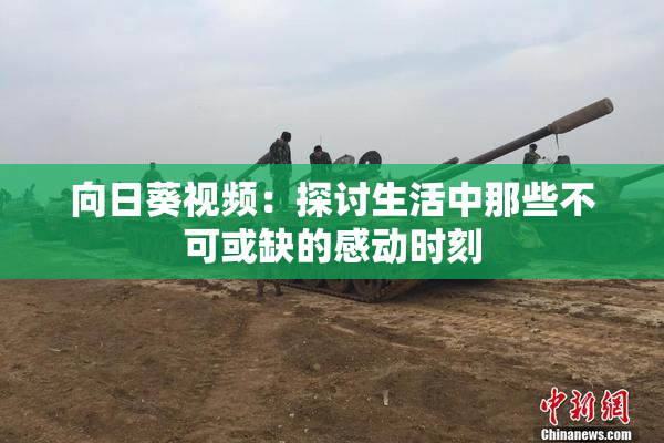 向日葵视频：探讨生活中那些不可或缺的感动时刻