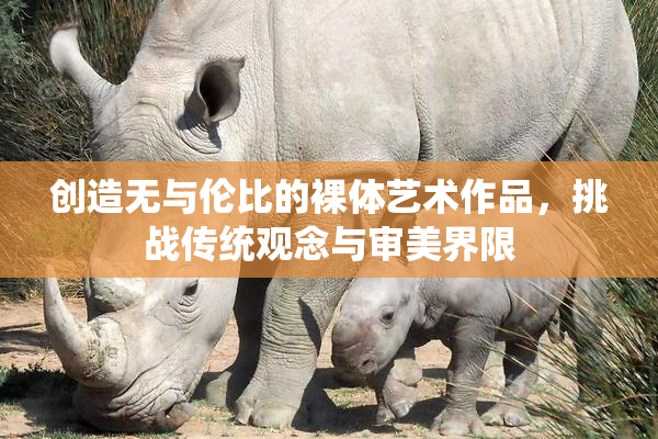 创造无与伦比的裸体艺术作品，挑战传统观念与审美界限