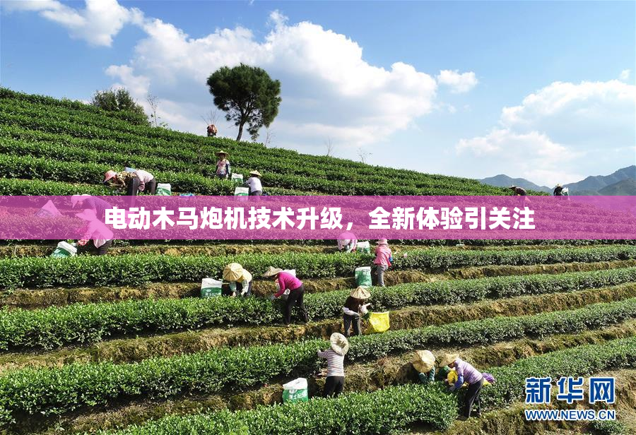 电动木马炮机技术升级，全新体验引关注