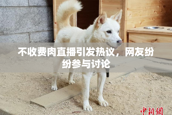 不收费肉直播引发热议，网友纷纷参与讨论