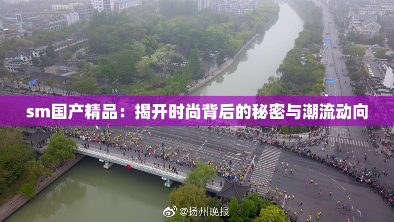 sm国产精品：揭开时尚背后的秘密与潮流动向