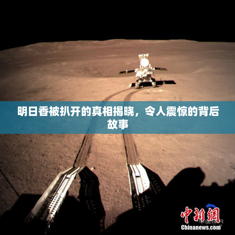 明日香被扒开的真相揭晓，令人震惊的背后故事