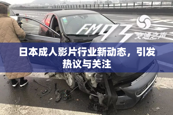 日本成人影片行业新动态，引发热议与关注