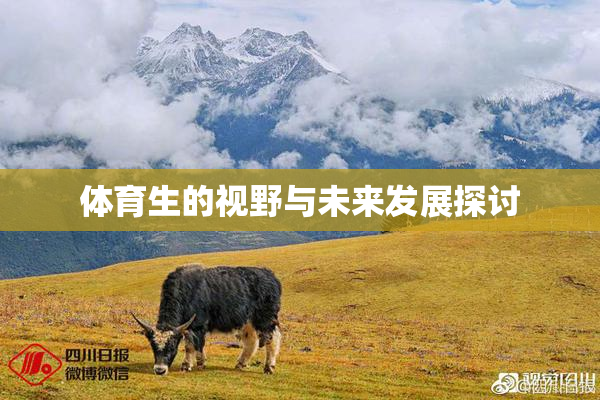 体育生的视野与未来发展探讨