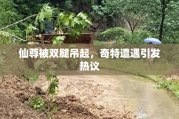 仙尊被双腿吊起，奇特遭遇引发热议