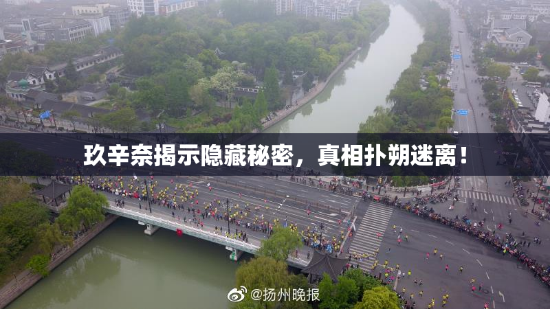 玖辛奈揭示隐藏秘密，真相扑朔迷离！