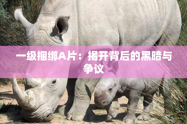 一级捆绑A片：揭开背后的黑暗与争议