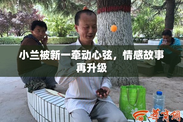 小兰被新一牵动心弦，情感故事再升级