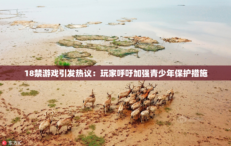 18禁游戏引发热议：玩家呼吁加强青少年保护措施