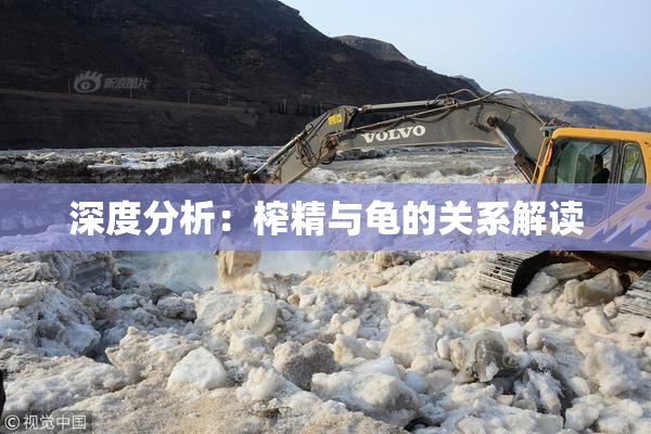 深度分析：榨精与龟的关系解读