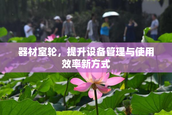 器材室轮，提升设备管理与使用效率新方式