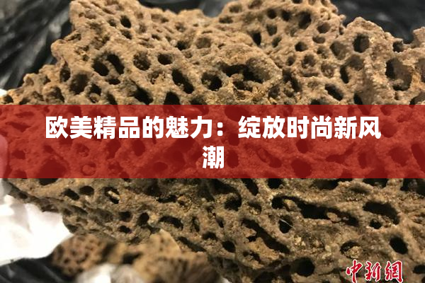 欧美精品的魅力：绽放时尚新风潮