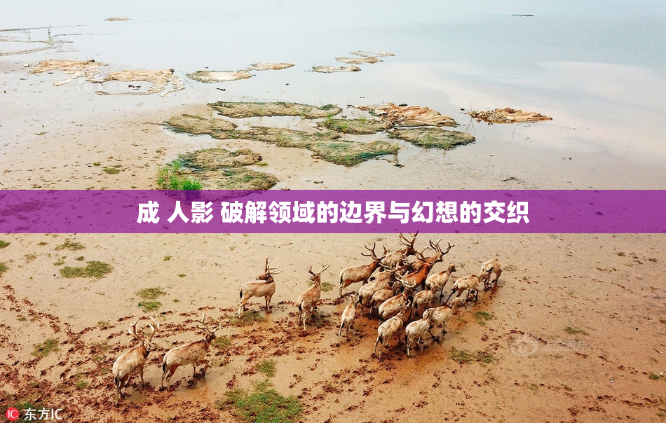 成 人影 破解领域的边界与幻想的交织