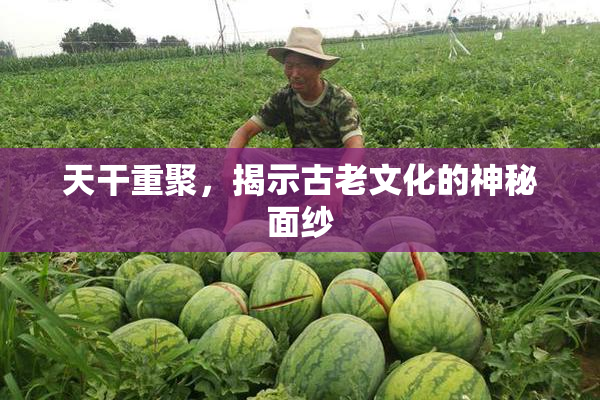 天干重聚，揭示古老文化的神秘面纱