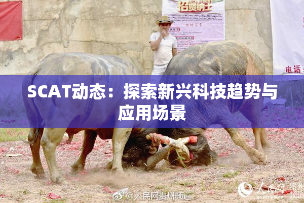 SCAT动态：探索新兴科技趋势与应用场景