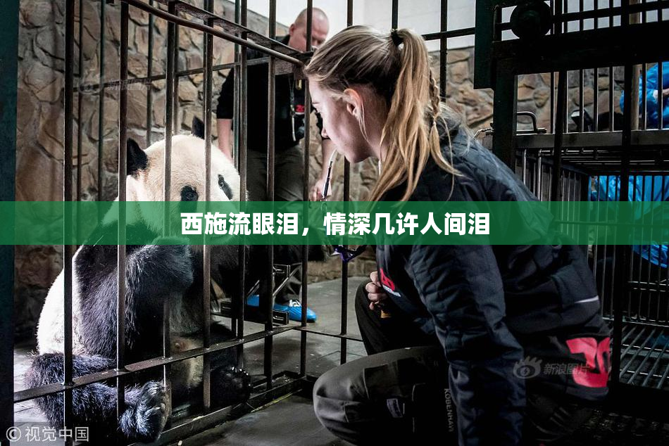 西施流眼泪，情深几许人间泪