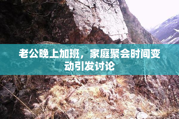 老公晚上加班，家庭聚会时间变动引发讨论
