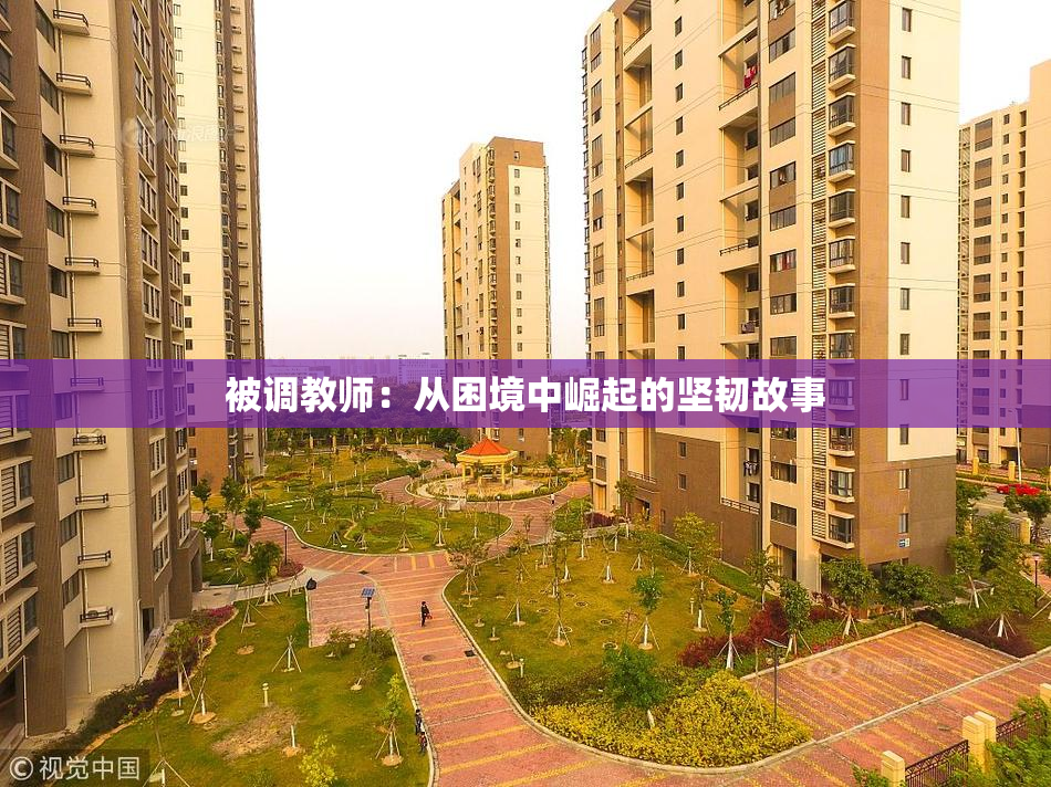 被调教师：从困境中崛起的坚韧故事