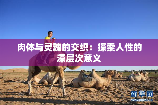 肉体与灵魂的交织：探索人性的深层次意义
