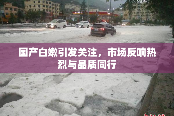 国产白嫩引发关注，市场反响热烈与品质同行