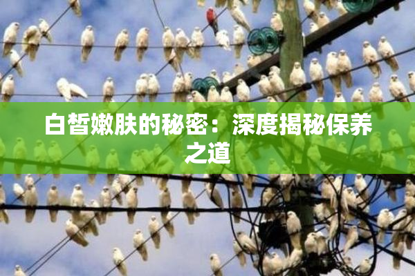 白皙嫩肤的秘密：深度揭秘保养之道