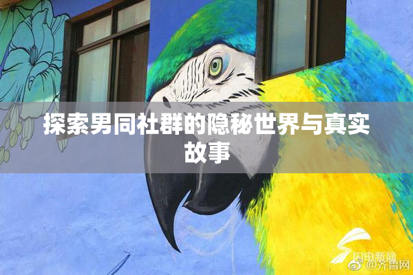 探索男同社群的隐秘世界与真实故事