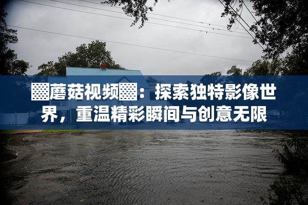 ▓蘑菇视频▓：探索独特影像世界，重温精彩瞬间与创意无限