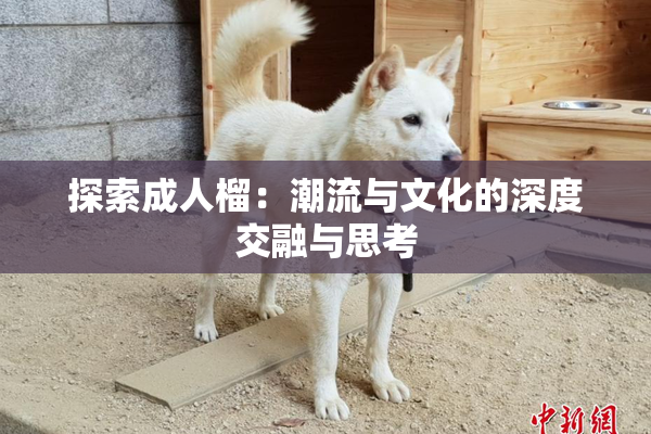 探索成人榴：潮流与文化的深度交融与思考