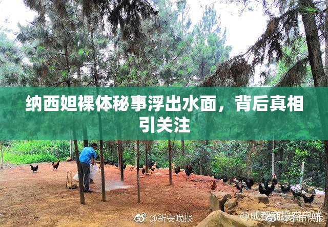 纳西妲裸体秘事浮出水面，背后真相引关注
