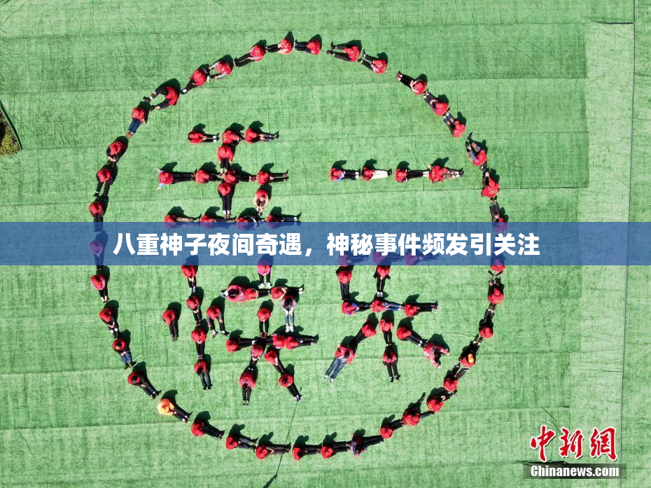 八重神子夜间奇遇，神秘事件频发引关注