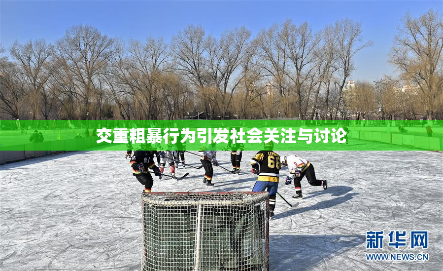 交重粗暴行为引发社会关注与讨论