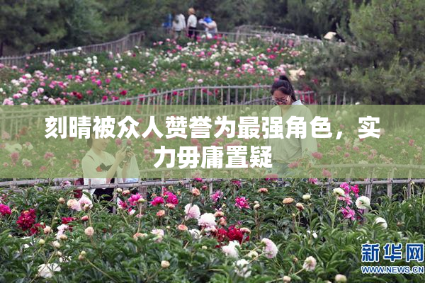 刻晴被众人赞誉为最强角色，实力毋庸置疑