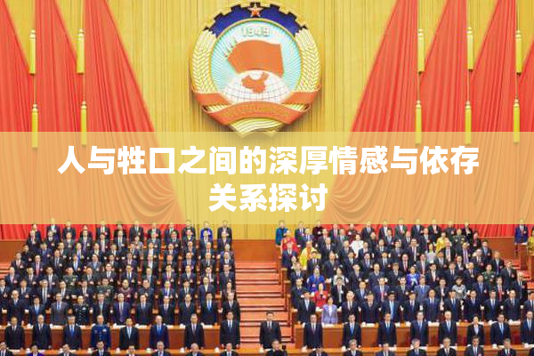 人与牲口之间的深厚情感与依存关系探讨