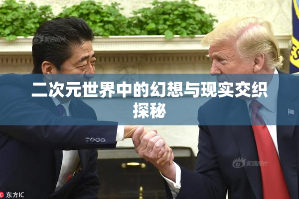 二次元世界中的幻想与现实交织探秘