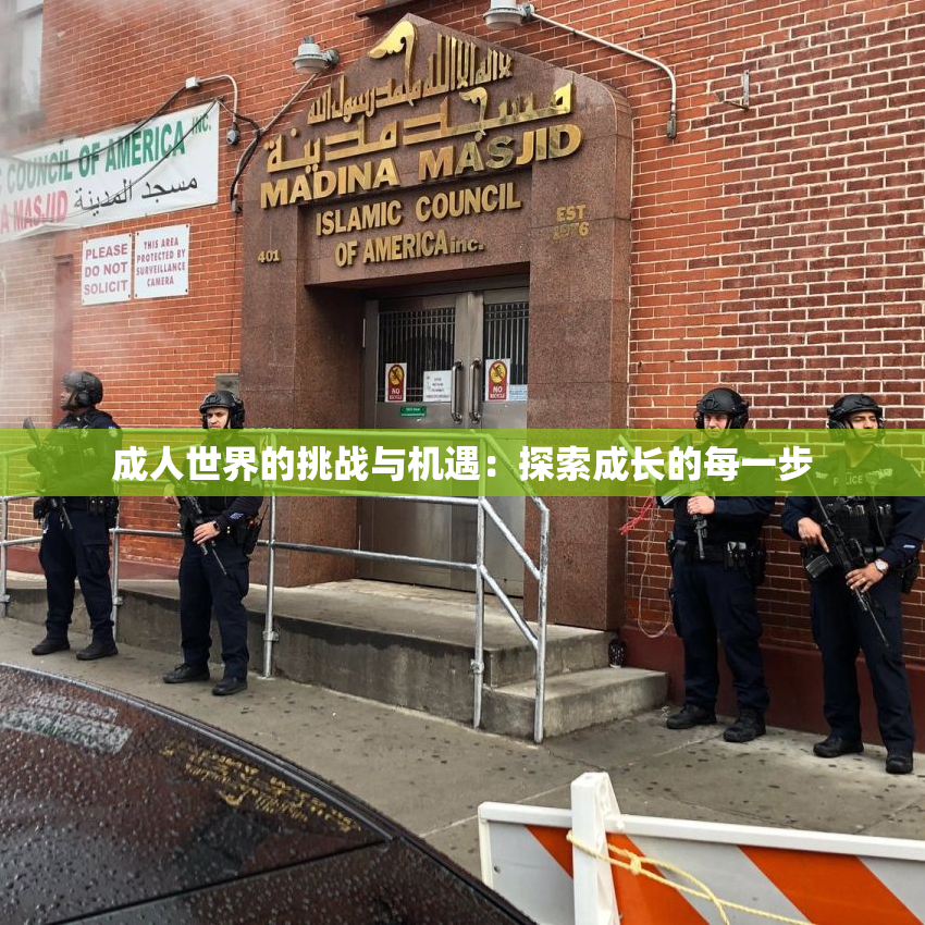 成人世界的挑战与机遇：探索成长的每一步