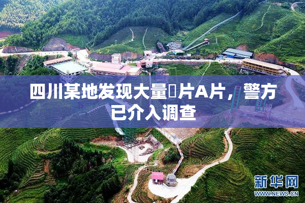 四川某地发现大量婬片A片，警方已介入调查