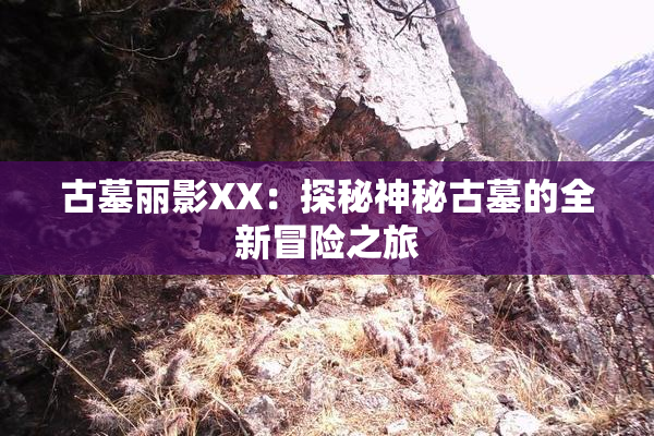 古墓丽影XX：探秘神秘古墓的全新冒险之旅