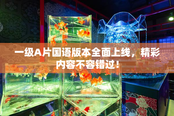 一级A片国语版本全面上线，精彩内容不容错过！