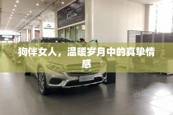 狗伴女人，温暖岁月中的真挚情感