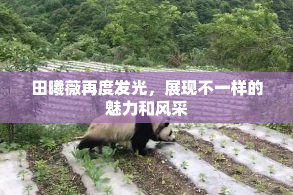 田曦薇再度发光，展现不一样的魅力和风采