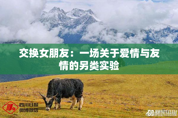 交换女朋友：一场关于爱情与友情的另类实验