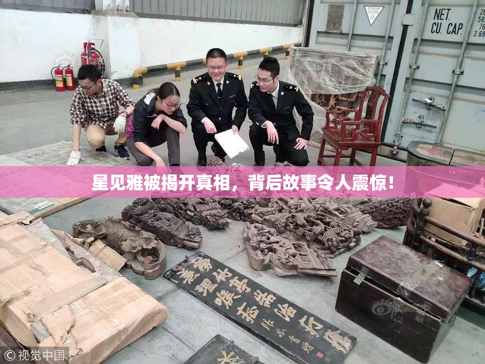 星见雅被揭开真相，背后故事令人震惊！
