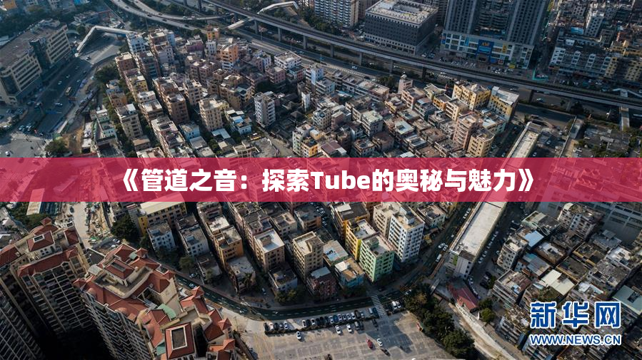 《管道之音：探索Tube的奥秘与魅力》