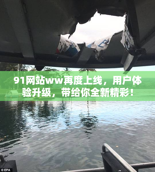 91网站ww再度上线，用户体验升级，带给你全新精彩！
