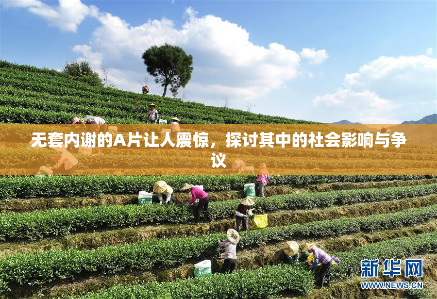 无套内谢的A片让人震惊，探讨其中的社会影响与争议