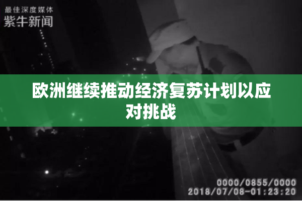 欧洲继续推动经济复苏计划以应对挑战