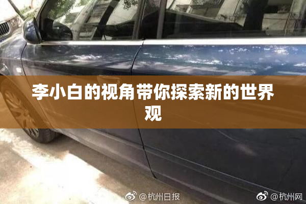 李小白的视角带你探索新的世界观