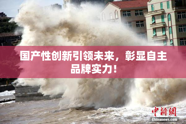 国产性创新引领未来，彰显自主品牌实力！