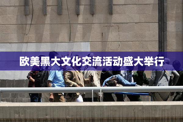 欧美黑大文化交流活动盛大举行